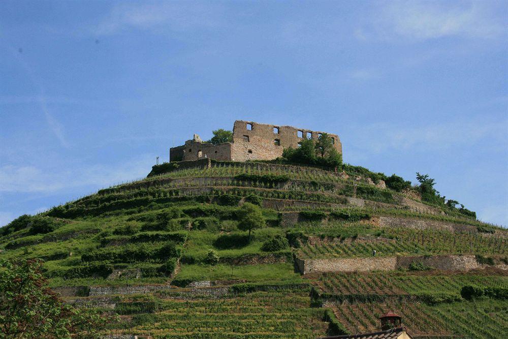 Gaestehaus Goethe Staufen im Breisgau Bagian luar foto